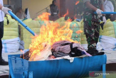 Tidak Ada Tempat Bagi Pedagang Thrifting