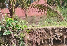 Ipal Komunal di Desa Pangkalbuluh Butuh Talud