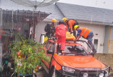 Warga Desa Jeruk Meninggal Dunia Tersengat Listrik Saat Perbaiki Atap Rumah 