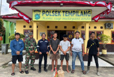 PT Timah Tindak Tegas Pelaku Pencurian Bijih Timah