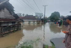 Ratusan Rumah di Rawa Bangun Terendam Banjir