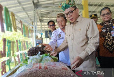 KMP Bakal Jadi Pemasok Kebutuhan Makan Bergizi Gratis