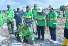 Dukung Semarak Babel, Pemkab Bangka Tanam Ratusan Pohon di Pantai Matras