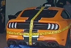 Asui Keposang Masih Diburu!