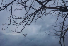  Instruksi Mendagri, Kepala Daerah Siaga 