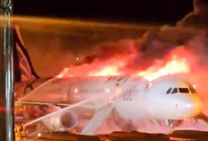  Pesawat Air Busan Terbakar 