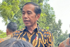 Jokowi Soal Anies dan 2 Menteri Nyalon Gubernur