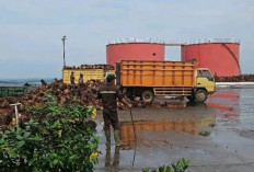 Semester I 2025, Kasus PHK di Pangkalpinang Menurun