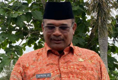 Safrizal Jadikan Perkarangan Rumdin Gubernur Mini Algriculture