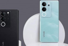 Vivo V30 Punya 3 Kamera 50 MP