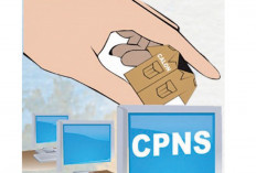   Ini Link BKN Pendaftaran CPNS 2024, Cek Cara Daftarnya!
