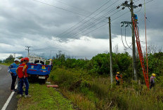 PLN UP3 Bangka Gelar Care For Asset 