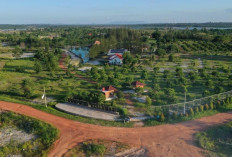 PT Timah Reklamasi 75,52 Hektare Lahan