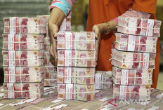 Pemerintah Bisa Tarik Duit Surplus dari BI untuk APBN