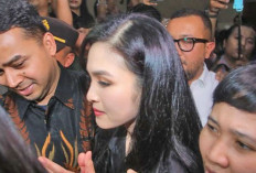 Sandra Tahunya Harvey Cuma Bisnis Batubara, Langgar Larangan Istri?