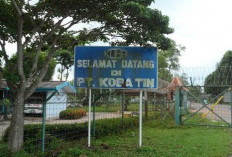 Menguak Luka 'Lahir Batin' Warisan Koba Tin? Kejati Geledah BNI?