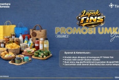 PT Timah Luncurkan Lapak TINS