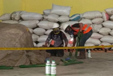 Karantina Babel Perkuat Layanan Fumigasi