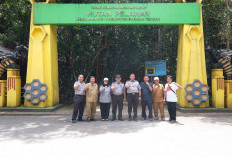 Madu Pelawan Namang Dipastikan Keasliannya