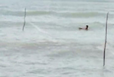 Diduga Limbah Tambak Udang Dibuang ke Laut, Nelayan Gusung Kesal Tangkapan Anjlok