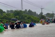 Potensi Cuaca Babel Hari ini, Hujan Lebat & Angin Kencang