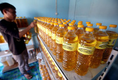 Pasokan DMO Minyakita Melambat