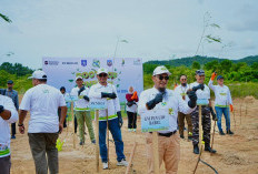 PLN Babel Tanam 12.500 Pohon di HMPI 2025