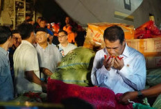 Pemerintah Pastikan Jaga Harga Cabai Petani