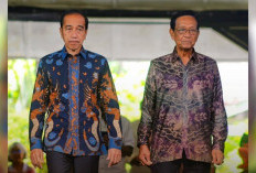 ''Ada yang Ditahan,'' ujar Pakar Melihat Wajah Jokowi dan Sri Sultan HB X 