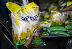 Bulog Bakal Terapkan Satu Harga Beras SPHP
