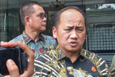 Kejagung Proses Perusak Hutan