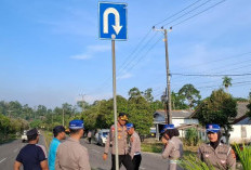 Tikungan Tajam Ini Sebabkan 9 Mobil Nyungsep