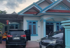 Ketika 13 'Kroco' Penyelundup Timah Sudah Diringkus? Bos Asui Kapan?