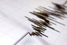 Meski Kecil, Gempa Terus Goyang Indonesia