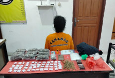 Pengedar Sabu & Ganja Diringkus Polisi