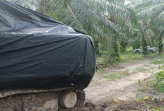 Pengakuan Mardiansyah Soal Para Cukong: Kenal Saja Tidak?