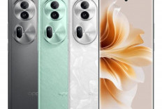 Oppo Umumkan Harga Reno11 Series