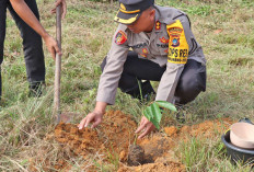 Polresta Tanam 100 Pohon di Lahan Gundul