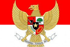 Arti NKRI Harga Mati, Bukan Sekadar Slogan!