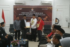 PDIP & Gerindra Bangka Usung Feri Insani-Syahbudin