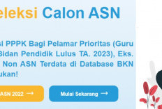  Harus Cek Nama di Database BKN, sebelum Daftar PPPK 2024