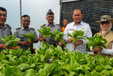 Puji Langkah Ketahanan Pangan Lapas