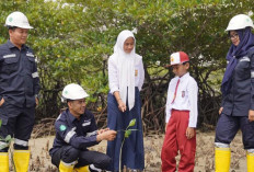 PT Timah Gencarkan Tanam Mangrove