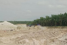  Ke Polres Bangka Tengah Baru Diperiksa? Acing, Apa Kabarmu?