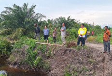 Sawah LP2P Limus Diduga jadi Lahan Sawit, Rina Tarol Minta APH Sikat Mafia Tanah