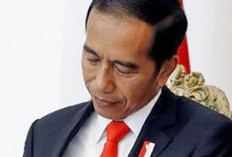 Jokowi Resmi Terbitkan Peraturan Pemerintah (PP), Kenaikan Gaji PNS