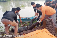 Mayat Misterius itu Herman Korban Pembunuhan? Pelakunya Berhasil Diringkus!