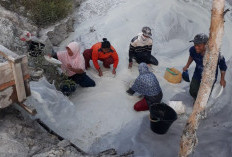 Warga Pilih Menambang Timah Legal Ramah Lingkungan
