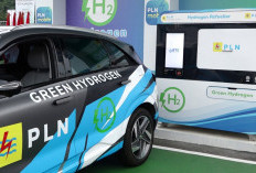 PLN IP Mewujudkan Transportasi Berbasis Hidrogen