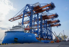 Pelindo Petikemas setor Rp1,73 triliun ke  Negara